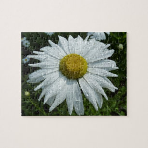 Regentropfen auf Wildblumen-Daisy II Floral Puzzle