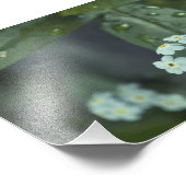 Regentropfen Behalten Fotodruck (Ecke)