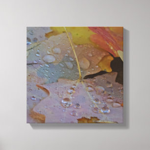 Regentropfen behielt auf mein Blatt fallen Leinwanddruck