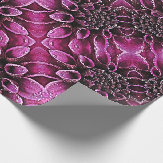 Regentropfen-Dahlien Geschenkpapier (Ecke)