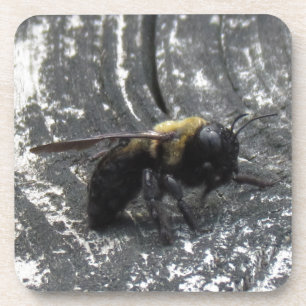 Regentropfen Getränkeuntersetzer