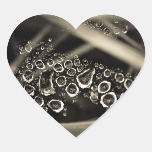 Regentropfen im Netz Herz-Aufkleber