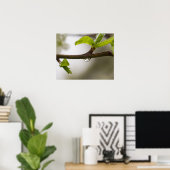 Regentropfen (Matte) Poster (Heimbüro)