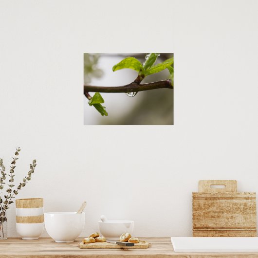 Regentropfen (Matte) Poster (Küche)