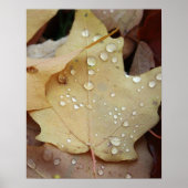 Regentropfen Poster (Vorne)