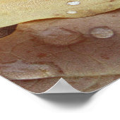 Regentropfen Poster (Ecke)