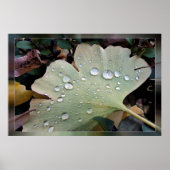 Regentropfen Poster (Vorne)