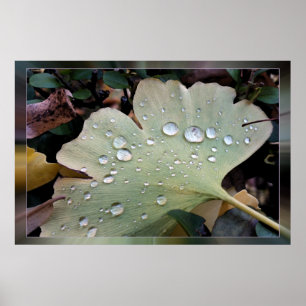Regentropfen Poster