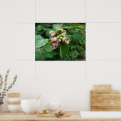 Regentropfen Poster (Küche)