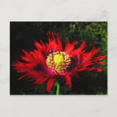 Regentropfen Postkarte (Vorderseite)