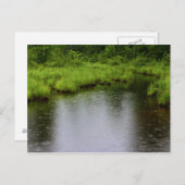 Regentropfen-Sommer 2016 Postkarte (Vorne/Hinten)