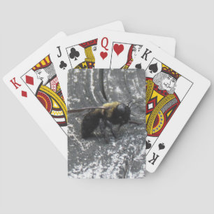Regentropfen Spielkarten