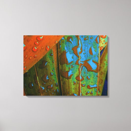 Regentropfen tropisch leinwanddruck (Vorderseite)