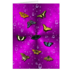 Regentropfen und Schmetterling auf rosa Regenbogen