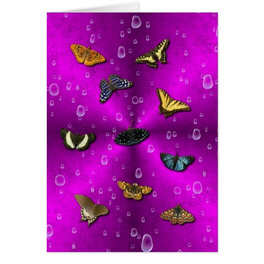 Regentropfen und Schmetterling auf rosa Regenbogen (Vorne)