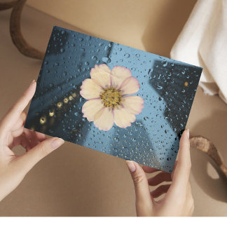 Regentropfen Zinnienblume Gelb Postkarte