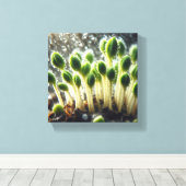 Regenwachstum - leinwanddruck (Insitu (Holzboden))