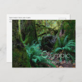 Regenwald Bäume, Ferns, Olympischer Nationalpark Postkarte (Vorne/Hinten)