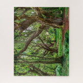 Regenwald Bäume Puzzle (Vertikal)