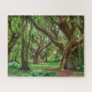 Regenwald Bäume Puzzle