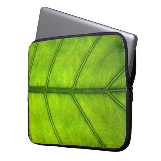 Regenwald-Blatt Laptopschutzhülle (Vorderseite Links)