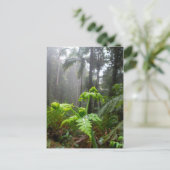 Regenwald-Blätter mit Tau-Tröpfchen-Postkarte Postkarte (Stehend Vorderseite)