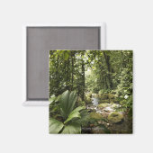 Regenwald, Dominica Magnet (Vorderseite/Rückseite)