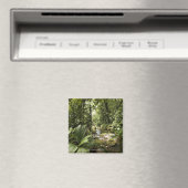 Regenwald, Dominica Magnet (In Situ (Geschirrspüler))
