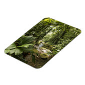 Regenwald, Dominica Magnet (Linke Seite)