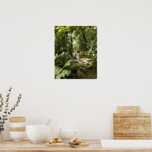 Regenwald, Dominica Poster (Küche)