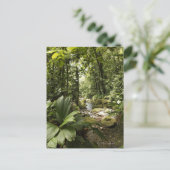 Regenwald, Dominica Postkarte (Stehend Vorderseite)