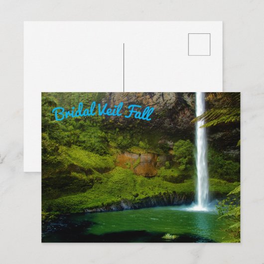 Regenwald Dschungel Wasserfall Postkarte (Vorne/Hinten)