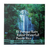 Regenwald EL Yunique Fliese (Vorderseite)