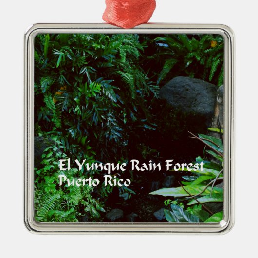 Regenwald EL Yunque Ornament Aus Metall (Vorne)