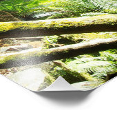 Regenwald Fotodruck (Ecke)