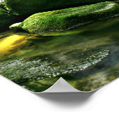 Regenwald Gedeckter Wasserfall Poster (Ecke)