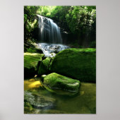 Regenwald Gedeckter Wasserfall Poster (Vorne)