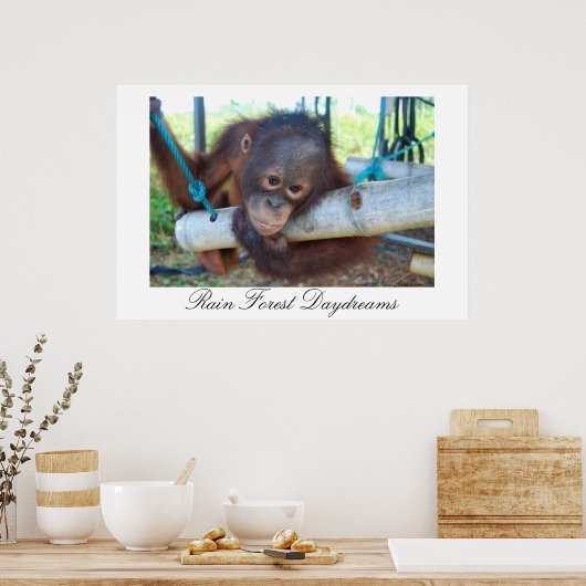 Regenwald Great Ape Daydreams Poster (Küche)