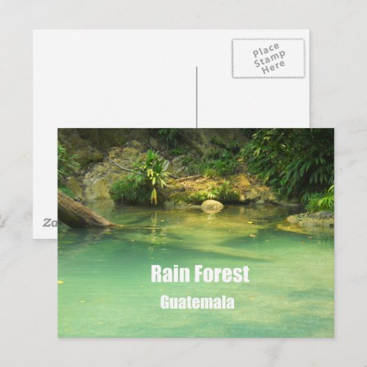 Regenwald, Guatemala Postkarte (Vorne/Hinten)