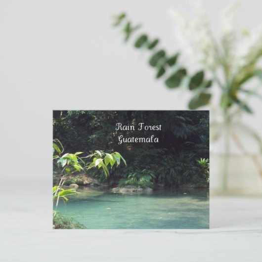 Regenwald, Guatemala Postkarte (Stehend Vorderseite)