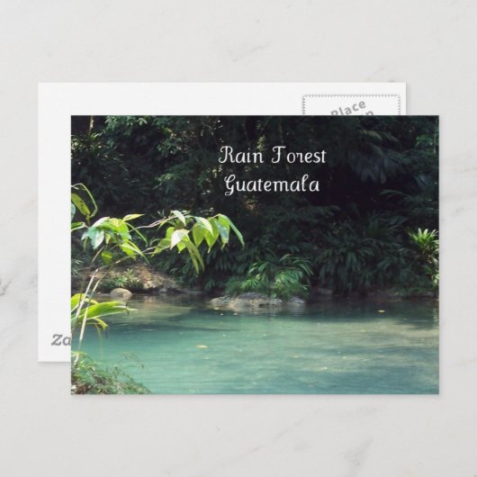 Regenwald, Guatemala Postkarte (Vorne/Hinten)