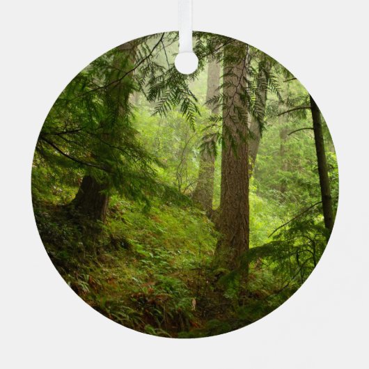 Regenwald im olympischen Nationalpark-Foto Ornament Aus Metall (Rückseite)