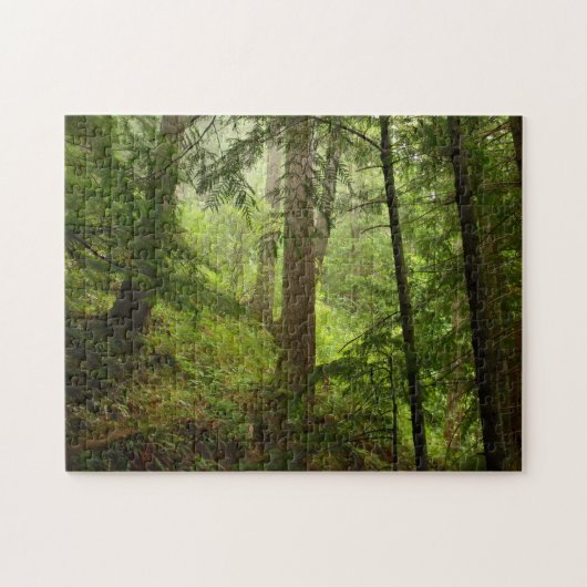 Regenwald im olympischen Nationalpark-Foto Puzzle (Horizontal)