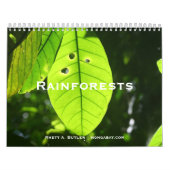 Regenwald-Kalender Kalender (Titelbild)