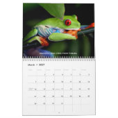 Regenwald-Kalender Kalender (Mär 2027)