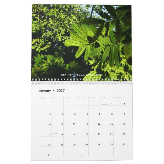 Regenwald-Kalender Kalender (Jan 2027)