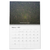 Regenwald-Kalender Kalender (Feb 2027)