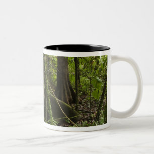 Regenwald, Mapari River Nord-Rupununi, Zweifarbige Tasse
