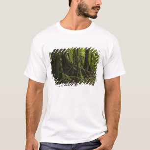 Regenwald, Mapari River North Rupuni, T-Shirt