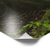 Regenwald, Mapari River North Rupununi, Fotodruck (Ecke)